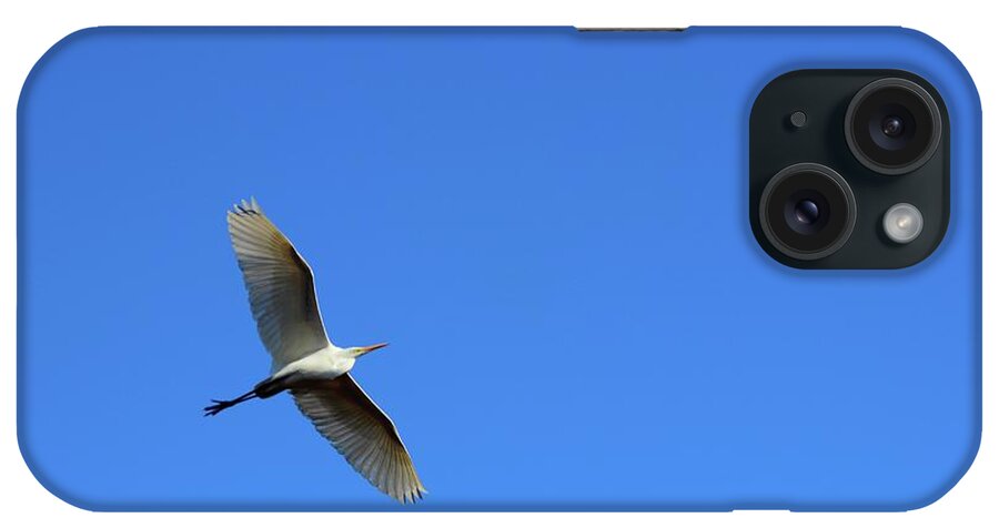  iPhone Case featuring the photograph Soar by Andre Turner