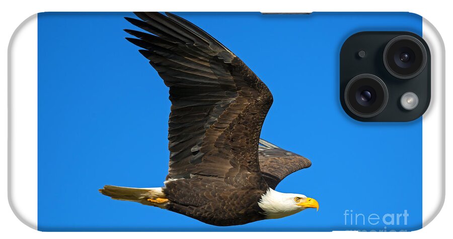 American Bald Eagle iPhone Case featuring the photograph Soar by Michael Dawson