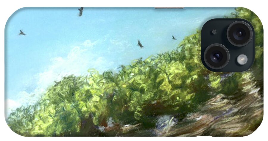 Taughannock iPhone Case featuring the painting Soaring Above the North Rim by Susan Sarabasha