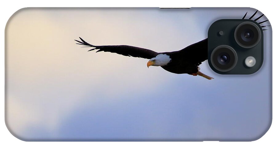 Eagle iPhone Case featuring the photograph Soaring Bald Eagle by Gary Corbett