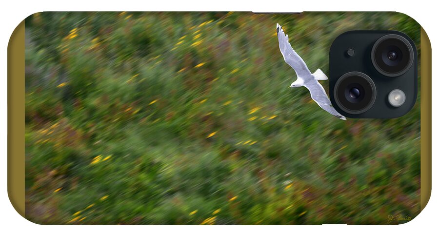 Seagull iPhone Case featuring the photograph Soaring Seagull by Joe Bonita