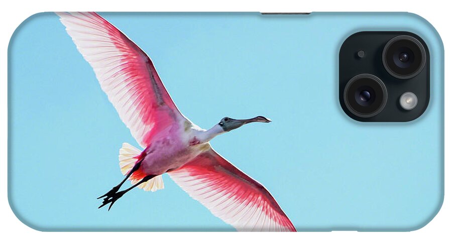 Audubon iPhone Case featuring the photograph Soaring Spoonbill by Dawn Currie