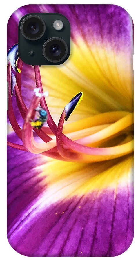 Art iPhone Case featuring the photograph Social emotions by Jeff Iverson