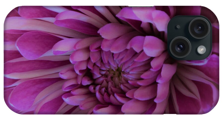Fresh iPhone Case featuring the photograph Soft Glow by Deborah Klubertanz