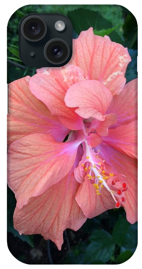 Light iPhone Case featuring the photograph Soft Pink by Cindy Riley