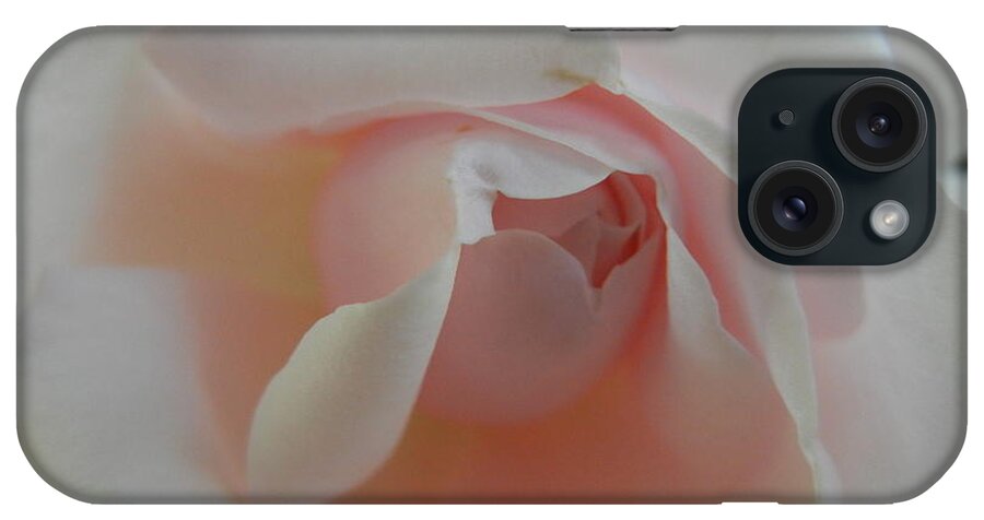 Rose iPhone Case featuring the photograph Soft pink rose by Jim And Emily Bush