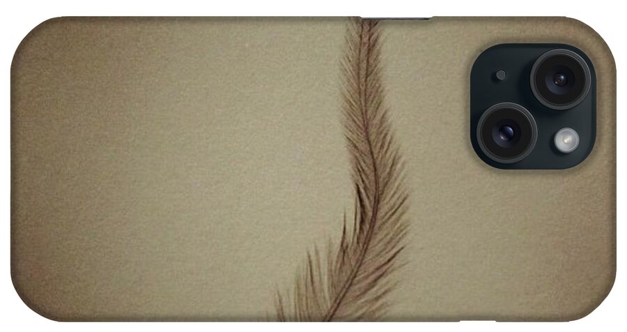 Feather iPhone Case featuring the photograph Softly by Denise Railey