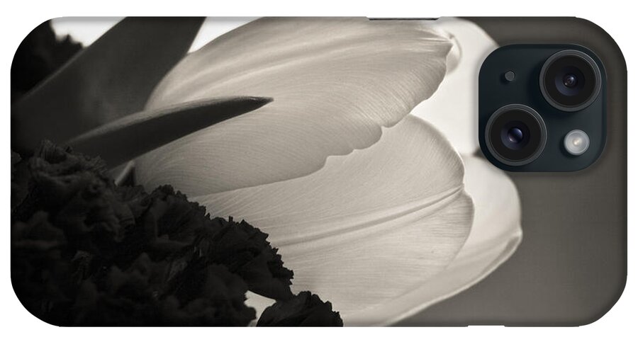 Floral iPhone Case featuring the photograph Lit Tulip by Marilyn Hunt