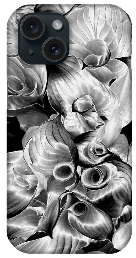 Black & White iPhone Case featuring the photograph Solarized Hosta by Frederic A Reinecke