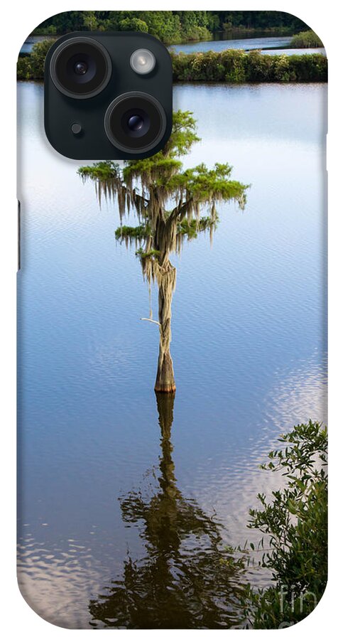 Nature iPhone Case featuring the photograph Solitary #1 by Andrea Anderegg