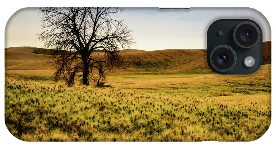Tree iPhone Case featuring the photograph Solitary Tree by Chris McKenna