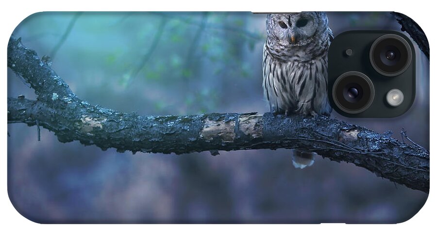 Owl iPhone Case featuring the photograph Solitude - Square by Rob Blair