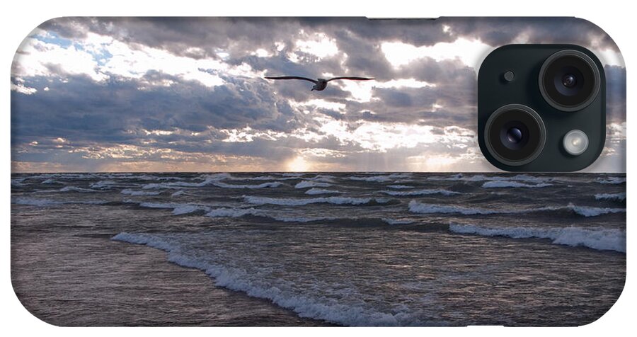 Seagull iPhone Case featuring the photograph Solo Flight by Ann Horn