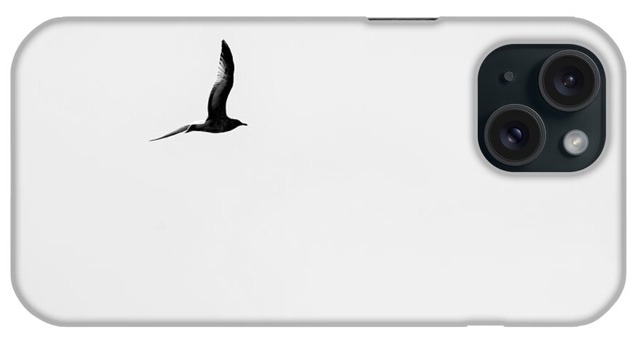 Birds iPhone Case featuring the photograph Solo Of A Bird by Jan Gelders
