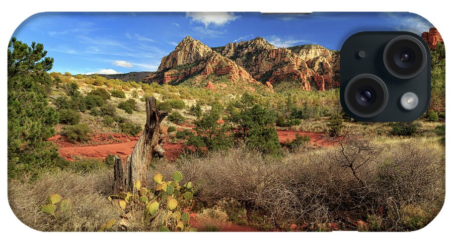 Cactus iPhone Case featuring the photograph Some Cactus In Sedona by James Eddy