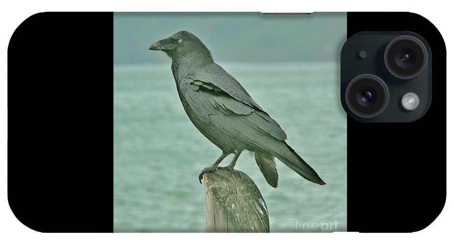 Bird iPhone Case featuring the photograph Something to Crow About by Joyce Creswell