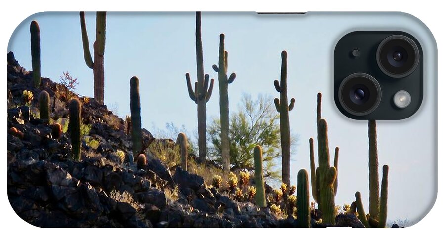 Arizona iPhone Case featuring the photograph Sonoran Desert Saguaro Slope by Judy Kennedy