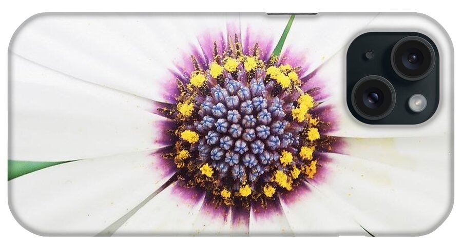 White iPhone Case featuring the photograph Soprano White by Phil Spitze