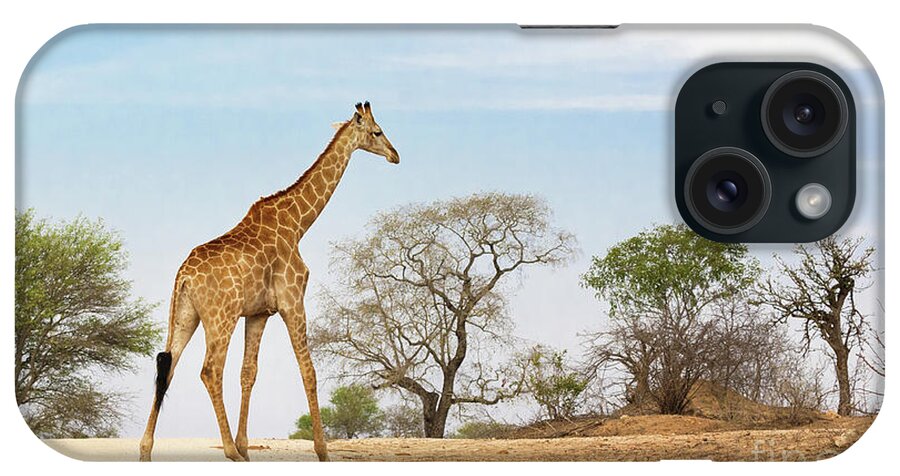 Giraffe iPhone Case featuring the photograph South African giraffe by Jane Rix