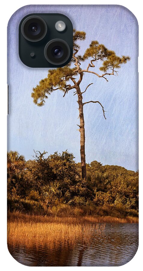 South Wetlands Preserve iPhone Case featuring the photograph South Wetlands Preserve by Kim Hojnacki