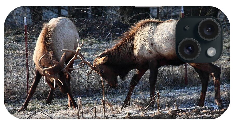 Bull Elk iPhone Case featuring the photograph Sparring Elk in February by Michael Dougherty