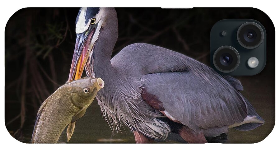 Bird iPhone Case featuring the photograph Spear Fisher by Bruce Bonnett