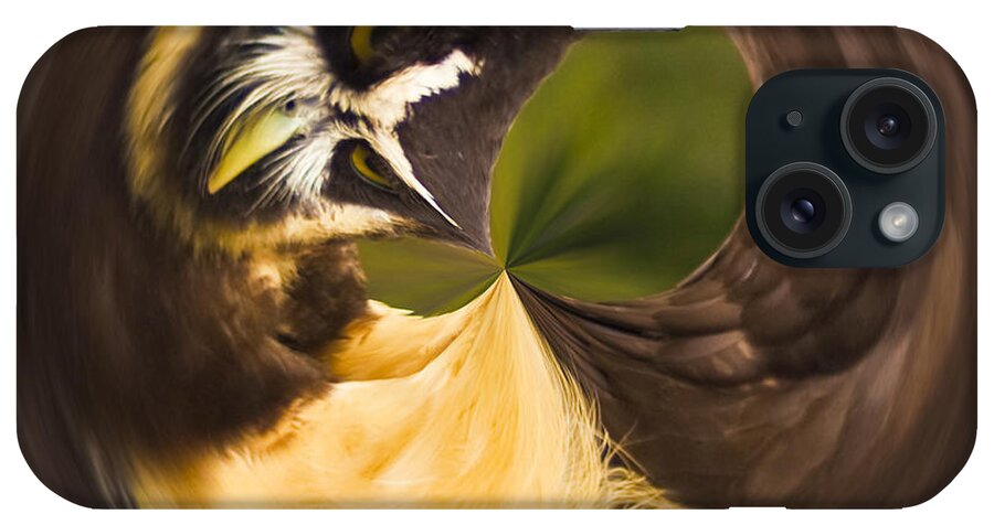 Owl iPhone Case featuring the photograph Spectacled Owl orb by Bill Barber