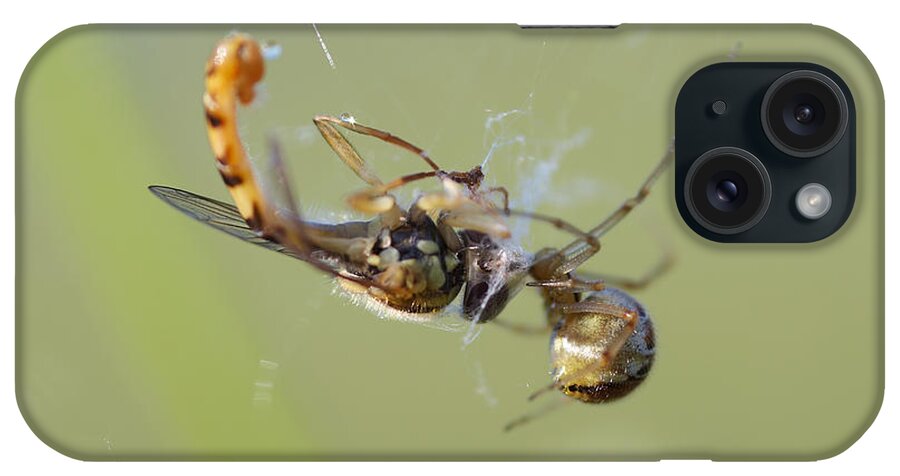 Closeup iPhone Case featuring the photograph Spider and its prey by Michal Boubin