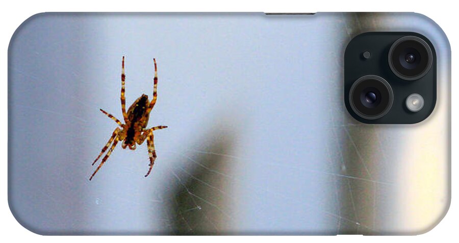 Bonnie Follett iPhone Case featuring the photograph Spider Hello Panorama by Bonnie Follett