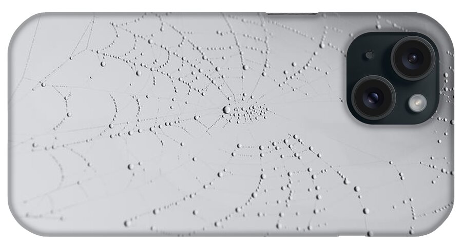 Nature iPhone Case featuring the photograph Spider Web after the storm by Andrea Anderegg