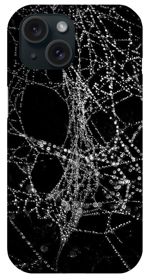 Brian Carson iPhone Case featuring the photograph Spiderweb No 4 by Brian Carson