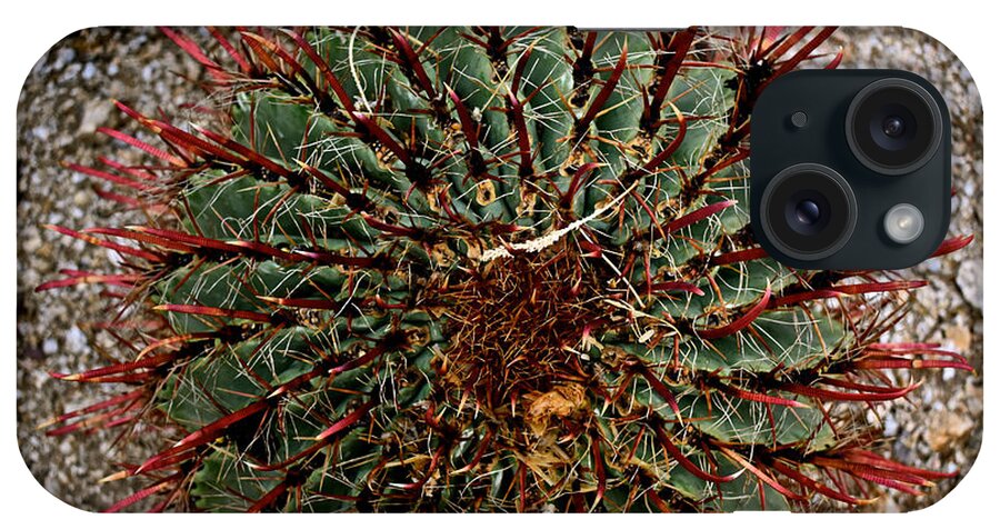 Cactus iPhone Case featuring the photograph Spin by Melisa Elliott