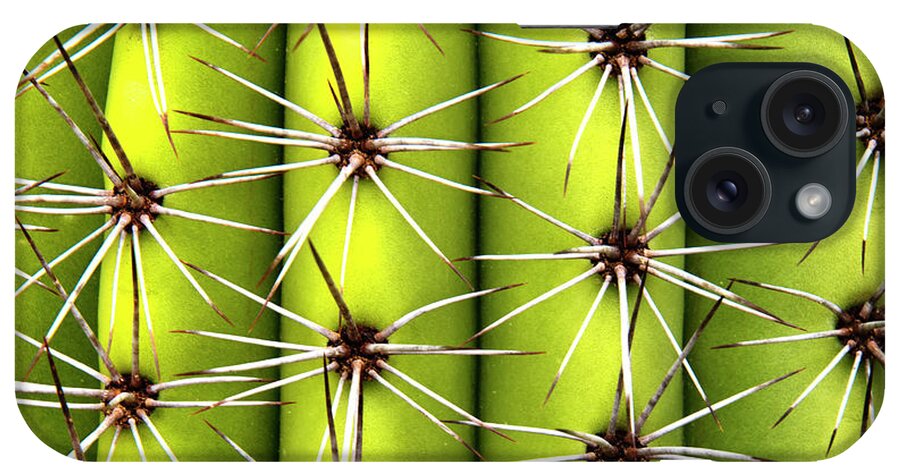 Cactus iPhone Case featuring the photograph Spines by Karen Smale