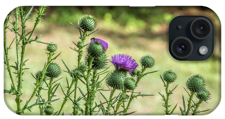 Bull Thistle iPhone Case featuring the photograph Spiny Bull Thistle Wildflowers by Kathy Clark
