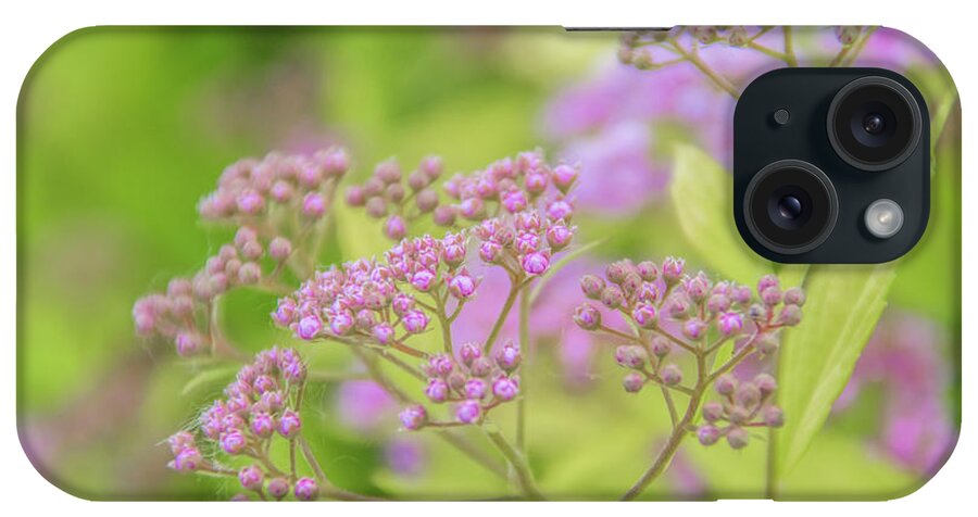 Spirea iPhone Case featuring the photograph Spirea by Pamela Williams