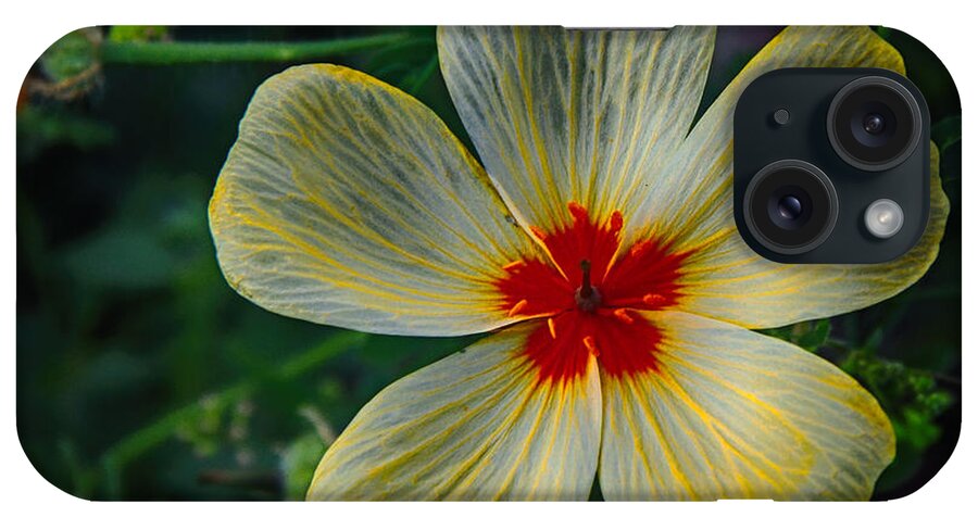 Flowers iPhone Case featuring the photograph Splash Of Red by Elaine Malott