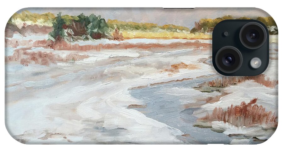 Marsh iPhone Case featuring the painting Splendid Isolation by Barbara Hageman