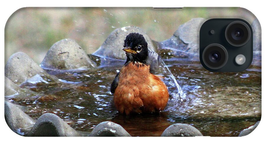 Birds iPhone Case featuring the photograph Splish Splash by Joy Tudor