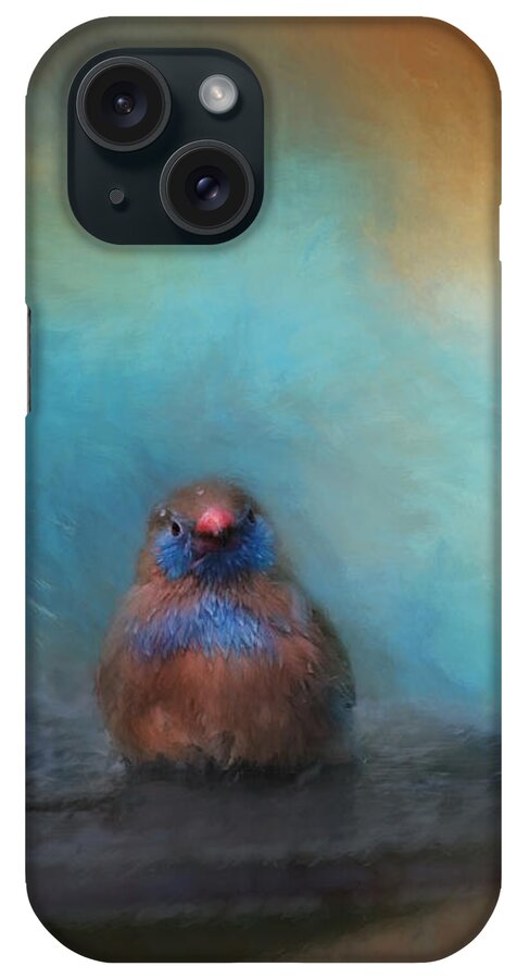 Bird iPhone Case featuring the photograph Splish Splash by Kim Hojnacki