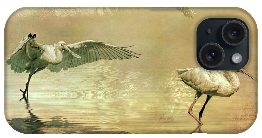 Spoonbills iPhone Case featuring the photograph Spoonbill morning by Brian Tarr