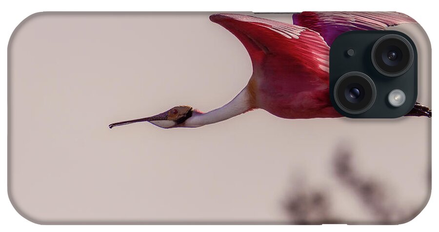 Bird iPhone Case featuring the photograph Spoonbill by Norman Peay
