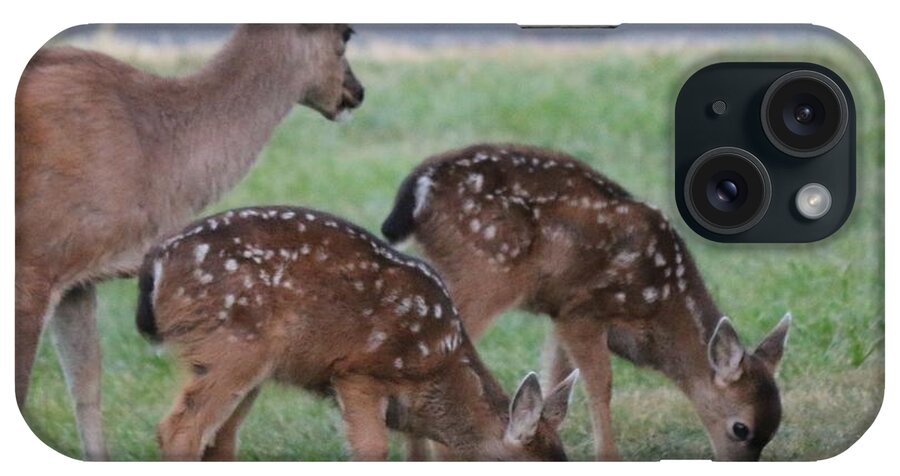 Deer iPhone Case featuring the photograph Spotted Fawns by Christy Pooschke