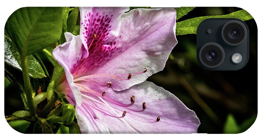 Flower iPhone Case featuring the digital art Spotted Pink Azalea in Spring by Ed Stines