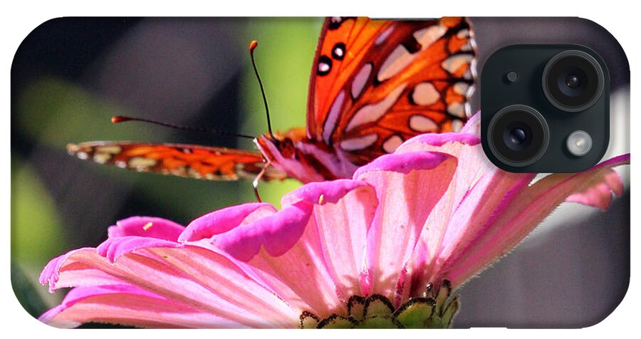 Gulf Fritillary iPhone Case featuring the photograph Spread Out by Jennifer Robin