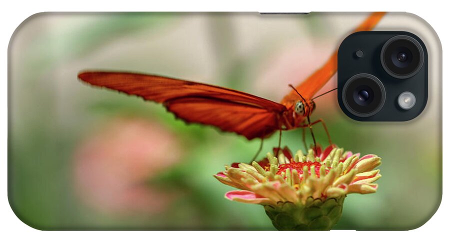Butterfly iPhone Case featuring the photograph Spread your Wings by Mary Anne Delgado