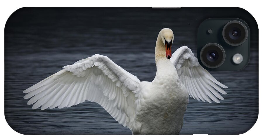 Swan iPhone Case featuring the photograph Spread Your Wings by Randy Hall