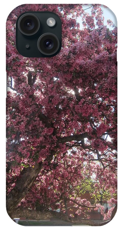 Art iPhone Case featuring the photograph Spring 19 by Funmi Adeshina