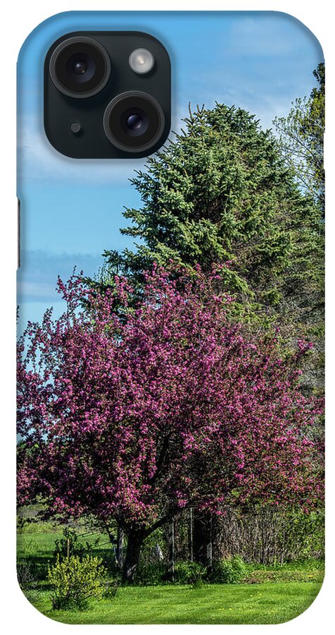 Spring iPhone Case featuring the photograph Spring Blossoms by Paul Freidlund