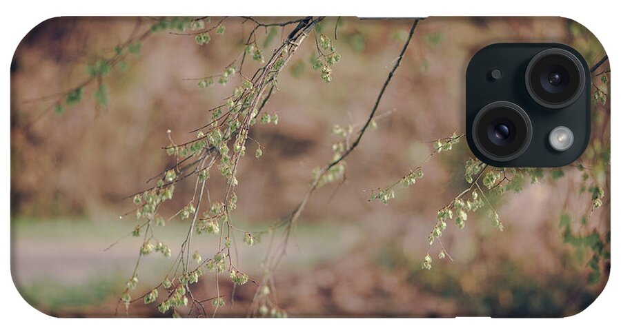 Spring iPhone Case featuring the photograph Spring Buds by Amber Flowers