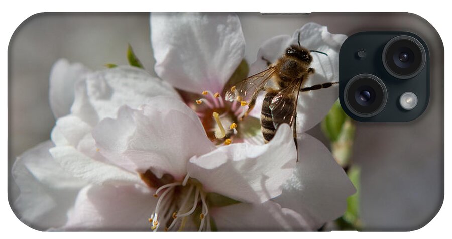 Bee iPhone Case featuring the photograph Spring Buzz by Denise Dethlefsen